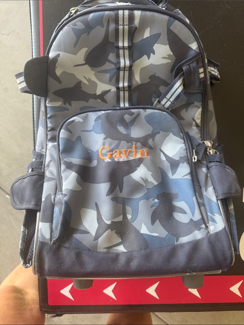 Pottery barn, kids roller luggage.